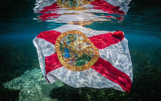 Florida Springs Series: Part 1 — 6 Springs, 6 Months, 900 Reasons to Keep Exploring